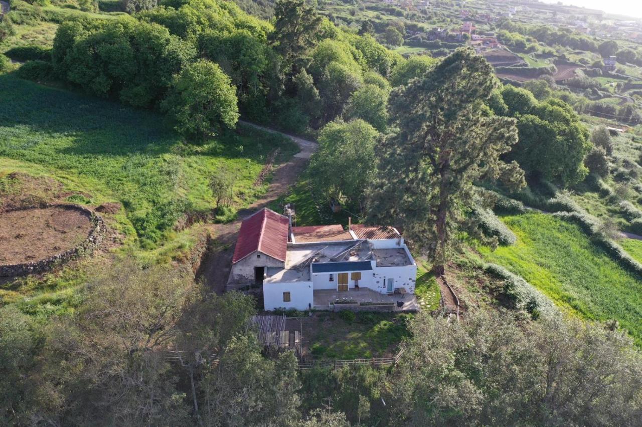 El Pino Centenario 4 Los Realejos Exteriör bild