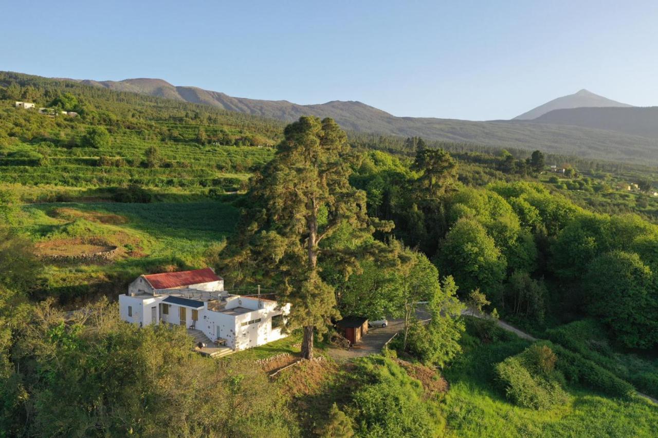 El Pino Centenario 4 Los Realejos Exteriör bild